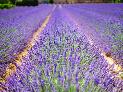 lieux de séminaires Provence